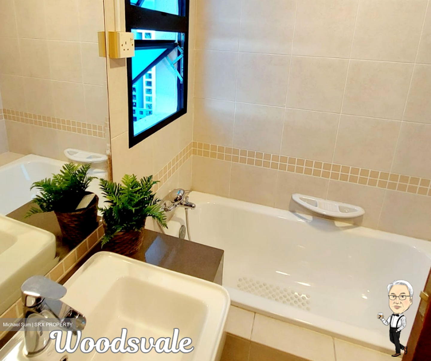 Woodsvale (D25), Condominium #479216421